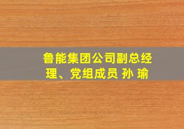 鲁能集团公司副总经理、党组成员 孙 瑜